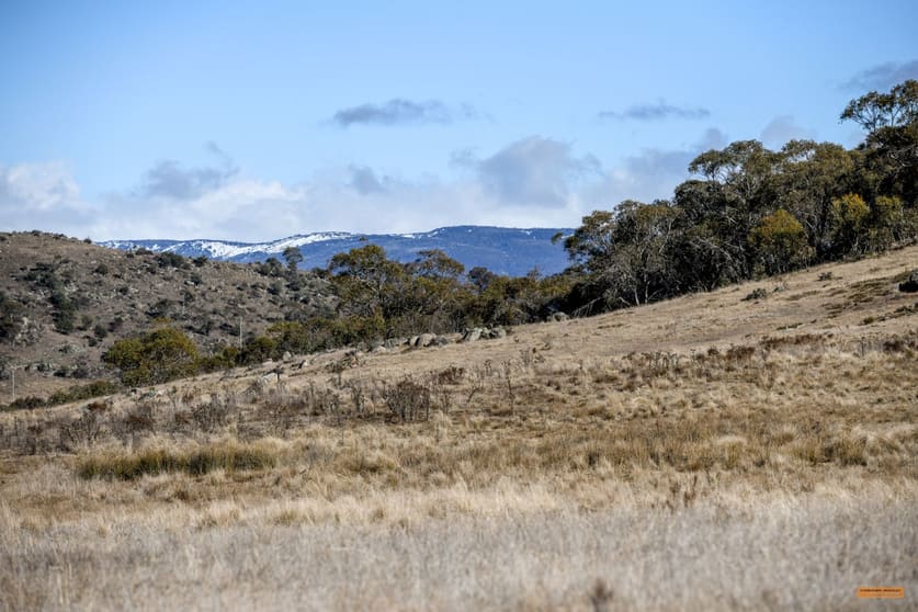 Click to view all images "Spring Hill" 62 Eucumbene Road Hill Top NSW 2628 - Image 1