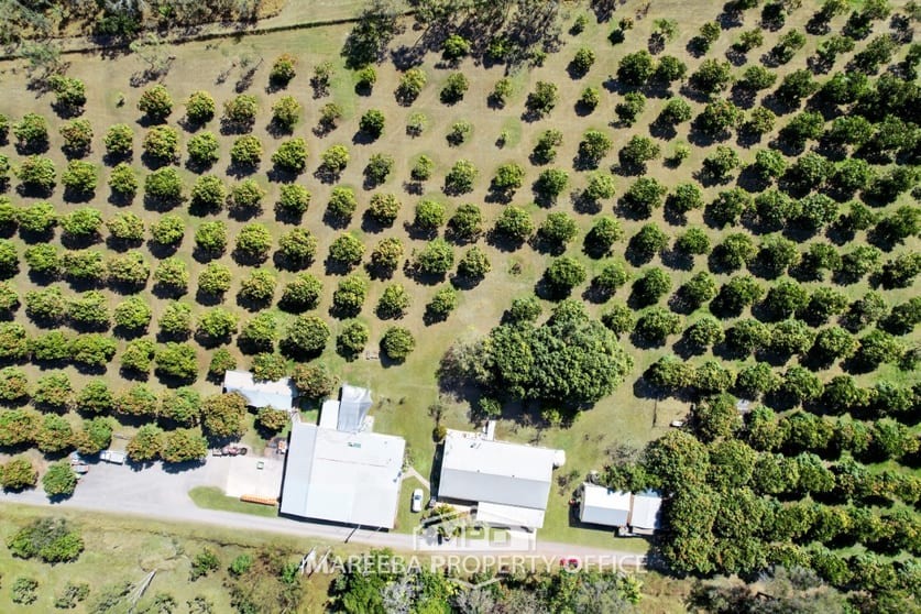 Click to view all images 3762 Kennedy Highway Mareeba QLD 4880 - Image 1