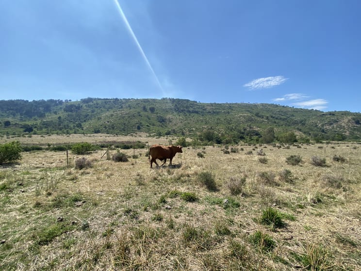 Click to view all images 1133 Ropeley-Rockside Road Rockside QLD 4343 - Image 2