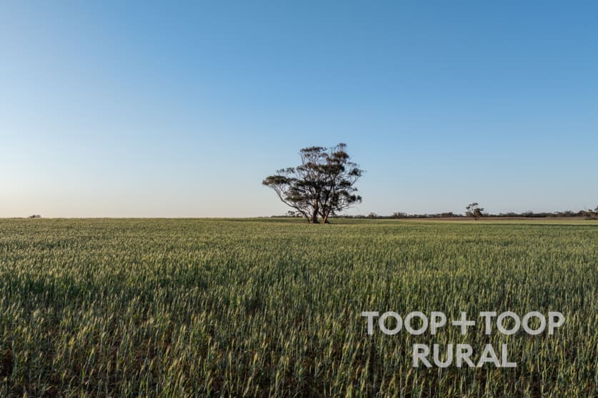 Click to view all images 499/ Murbko Road Murbko SA 5320 - Image 3