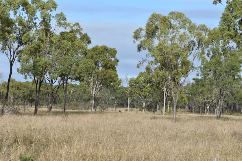 Click to view all images 1643 Tondara Road Bogie QLD 4805 - Image 2