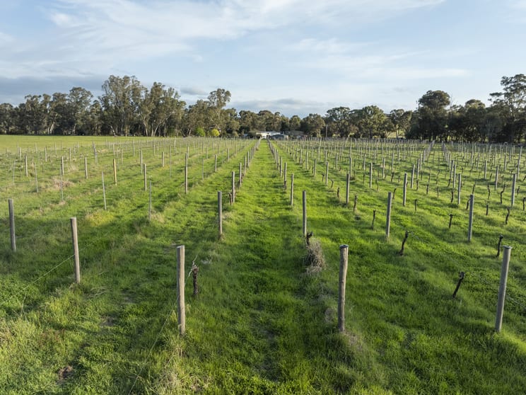 Click to view all images 38 McCrackens Road Locksley VIC 3665 - Image 3