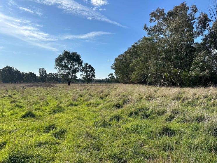 Click to view all images 2438 Humula Road Tarcutta NSW 2652 - Image 2