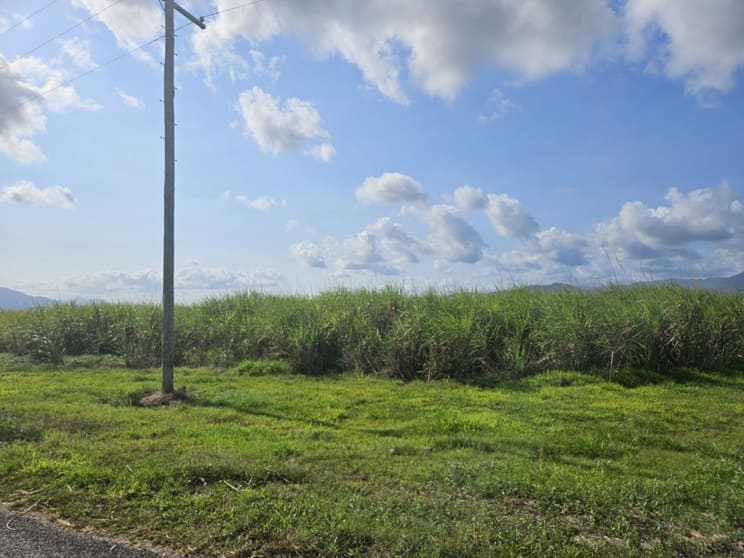 315 Kemp's Road Macknade QLD 4850 - Image 3