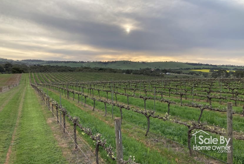 Click to view all images Lot 302 Burra Street Mintaro SA 5415 - Image 1