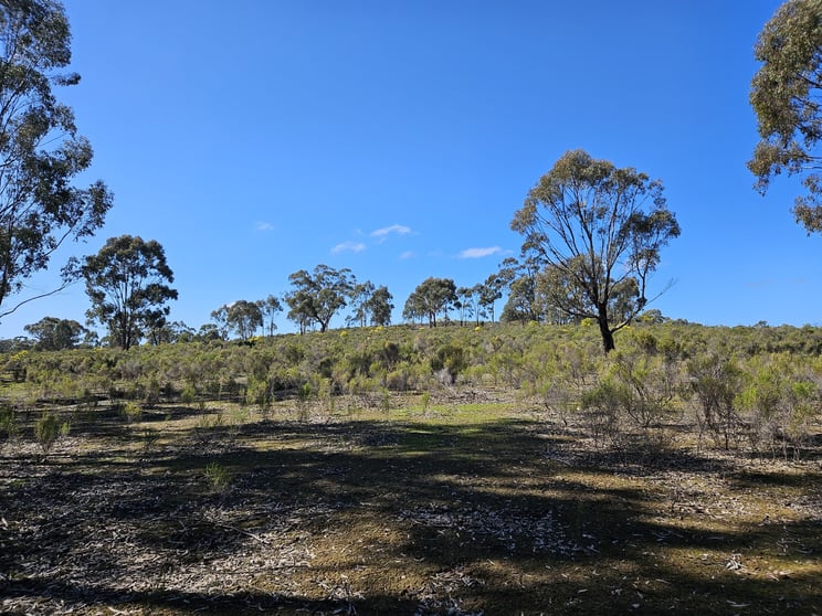 Click to view all images 50 Channel Inlet Road Murchison VIC 3610 - Image 1