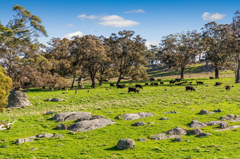 Click to view all images 87 Carstairs Road Langley VIC 3444 - Image 2