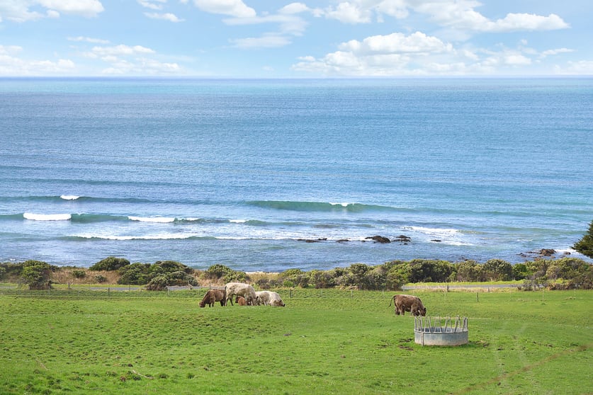 6090 Great Ocean Road Apollo Bay VIC 3233 - Image 2