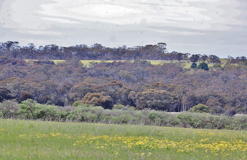 Click to view all images Lot 14 Kulin/Dudinin Road Dudinin WA 6363 - Image 3