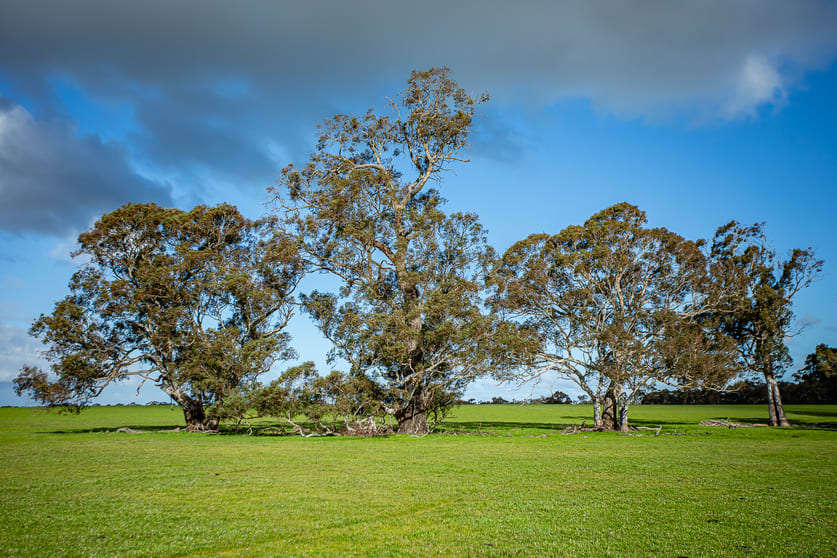 Click to view all images 184 Lin Dixons Road Ullswater VIC 3318 - Image 3