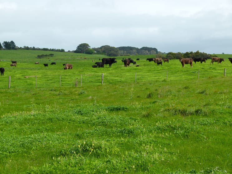 Click to view all images Southern Ports Hwy Rendelsham SA 5280 - Image 1