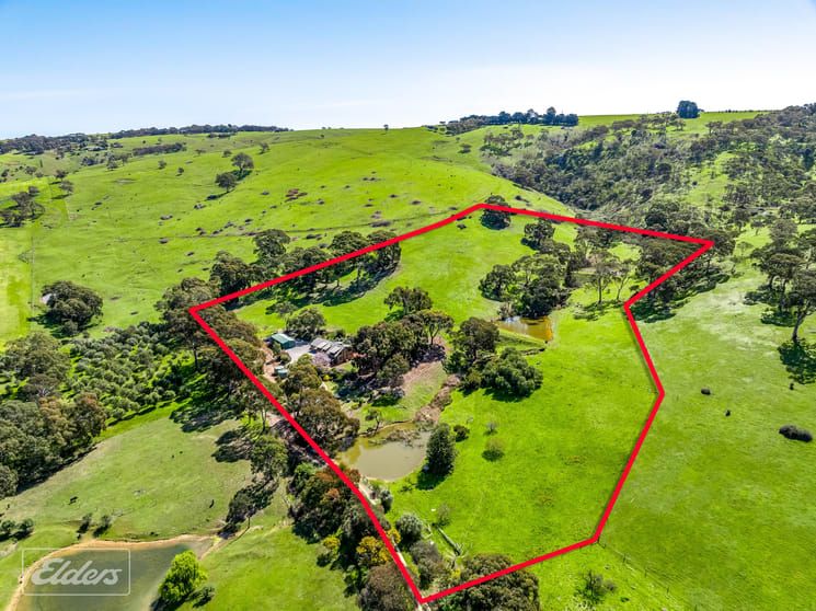 Click to view all images 26 Day Road Wattle Flat SA 5203 - Image 2