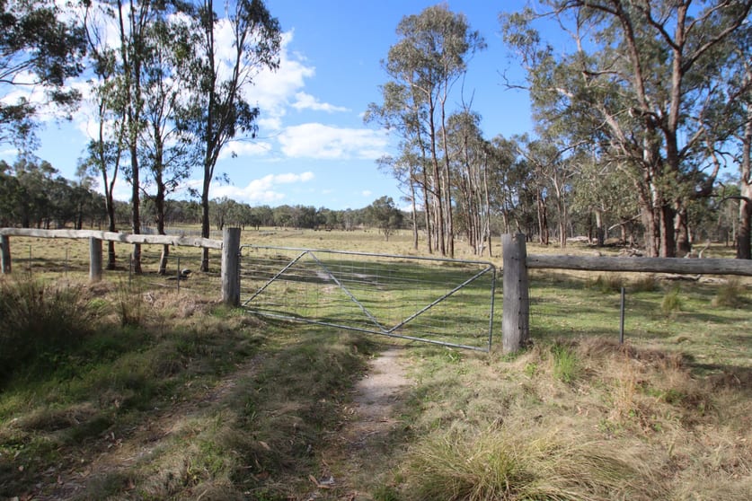 Click to view all images 7042 New England Highway Tenterfield NSW 2372 - Image 1