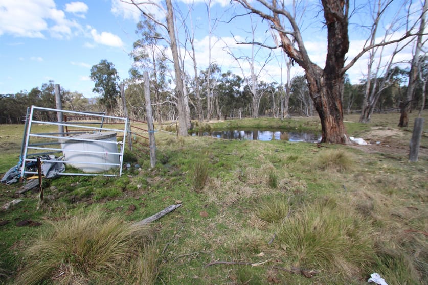 Click to view all images 7042 New England Highway Tenterfield NSW 2372 - Image 3