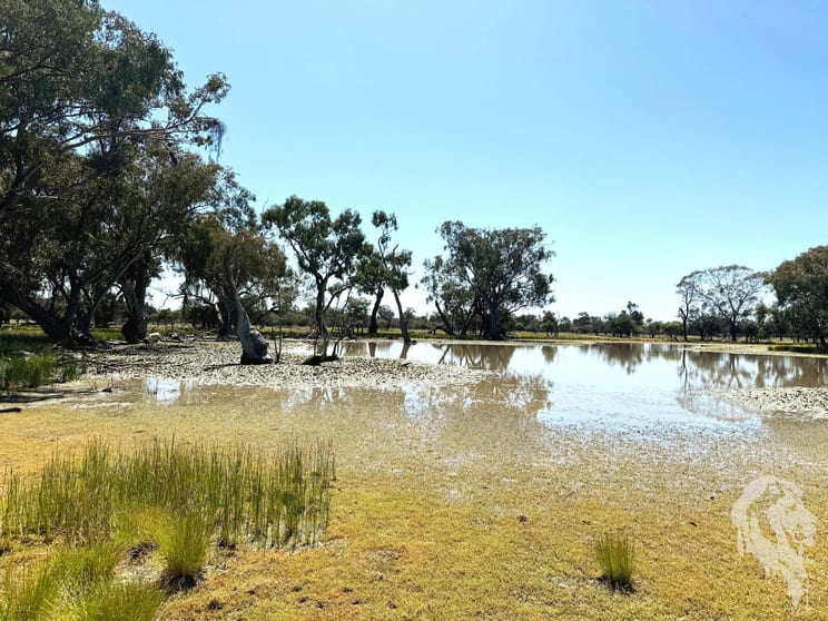 Click to view all images 1503 Werah Creek Road Wee Waa NSW 2388 - Image 2