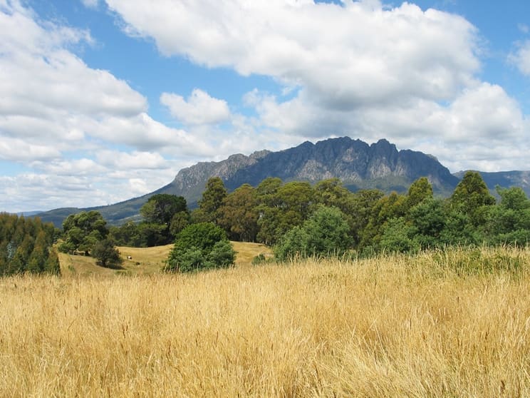 148 Holmes Road Roland TAS 7306 - Image 2