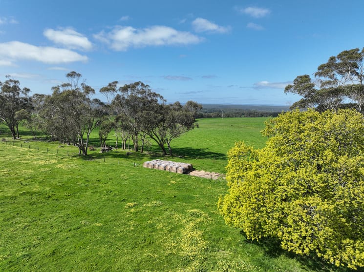 Click to view all images 125 Rankins Road Irrewillipe VIC 3249 - Image 3