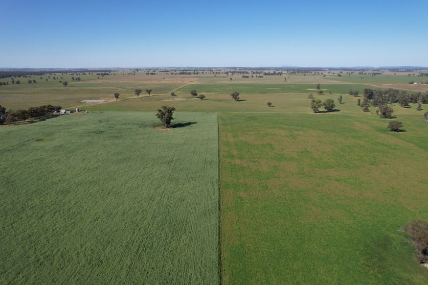 1715 The Bogan Way Forbes NSW 2871 - Image 1