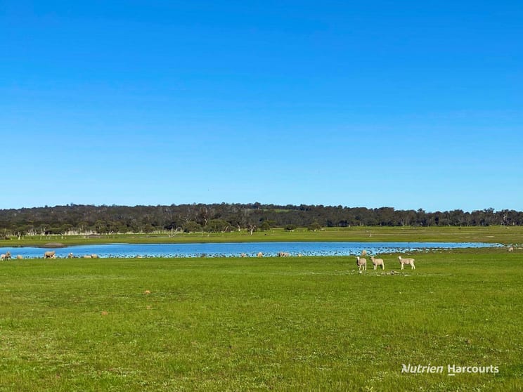 Click to view all images 4601 Doyle Road Bokal WA 6392 - Image 1