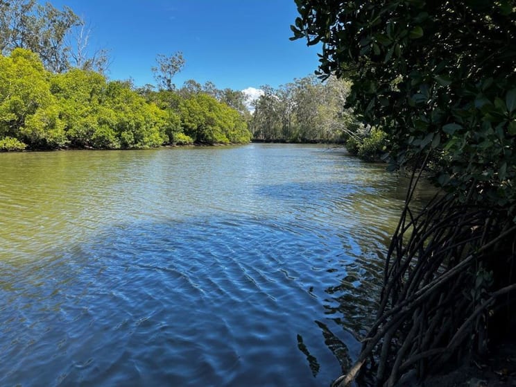 87 Kassman Drive Rosedale QLD 4674 - Image 3