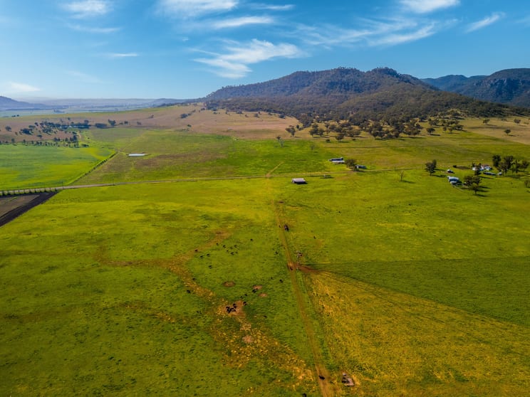 Click to view all images 931 Martindale Road Denman NSW 2328 - Image 3