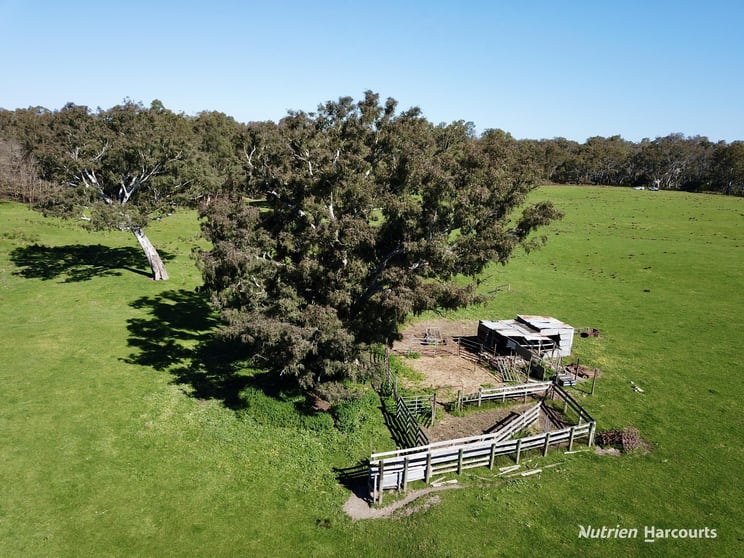 Click to view all images 1 North Killara Road Bahgallah VIC 3312 - Image 3