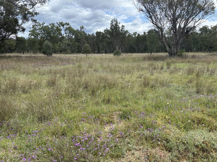 Click to view all images 93 Fairford Road Warialda NSW 2402 - Image 2