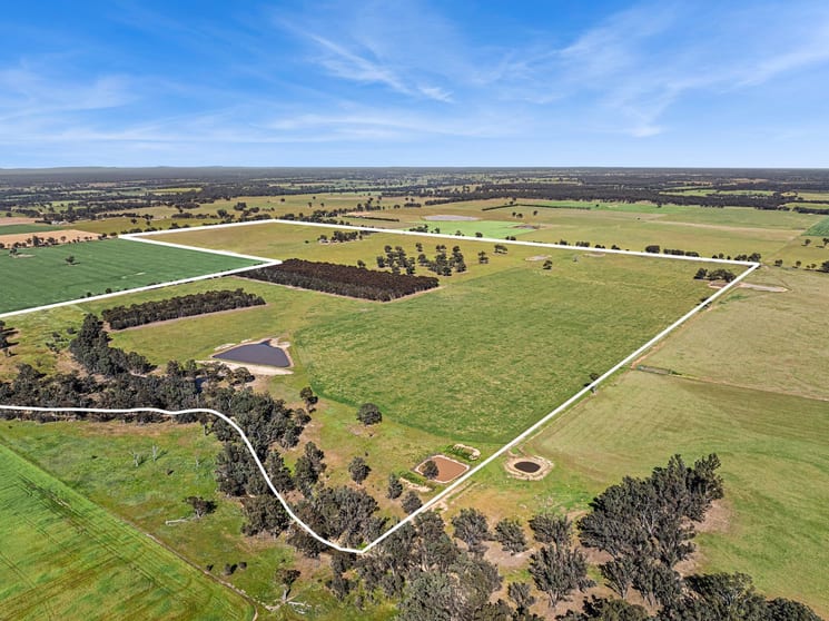 Click to view all images Lot 1 Goornong - Mayreef Road Goornong VIC 3557 - Image 1