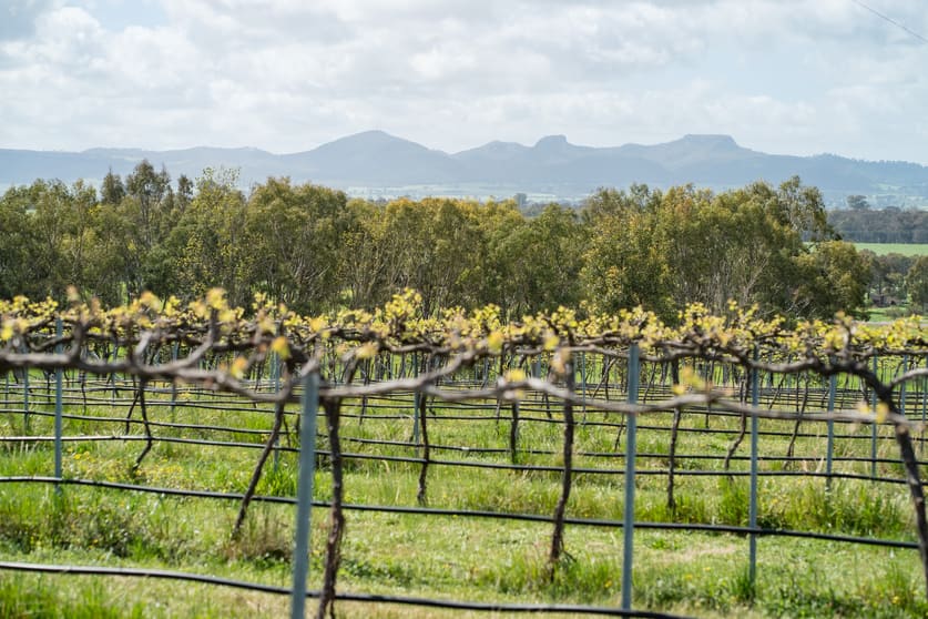Click to view all images 545 Glenellen Road Glenellen NSW 2642 - Image 3