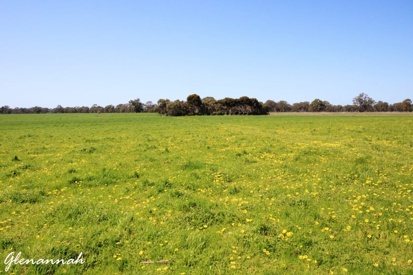 Naracoorte SA 5271 - Image 2