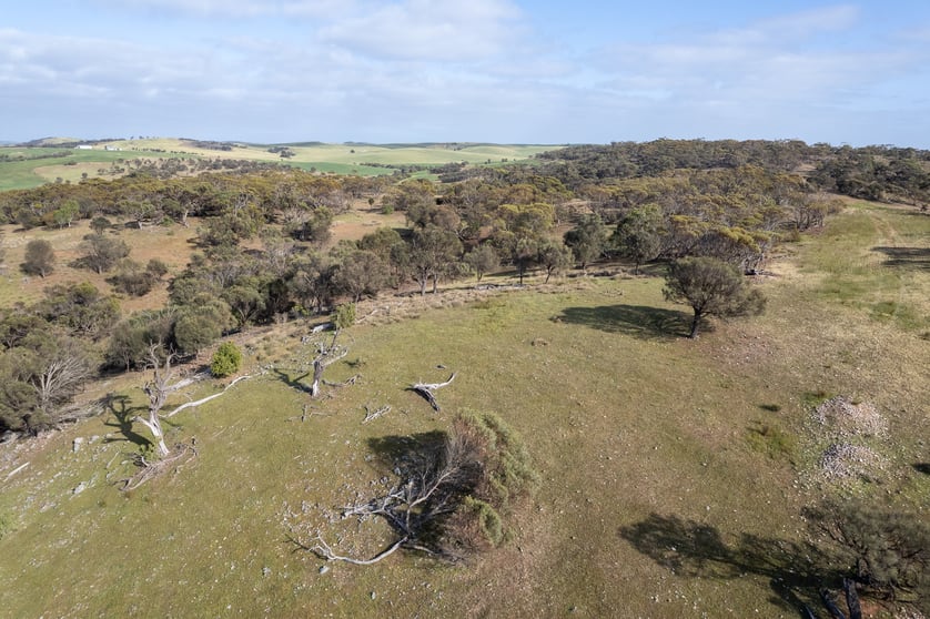Lots 99 & Bawdens Road Tumby Bay SA 5605 - Image 1