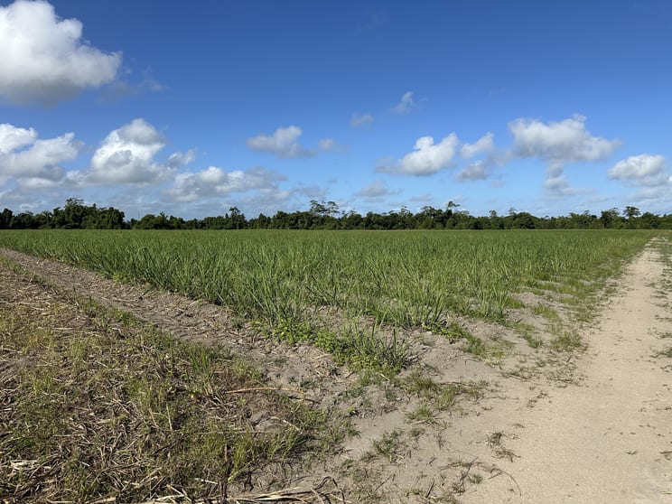 Click to view all images Lot 2 Bruce Highway El Arish QLD 4855 - Image 2