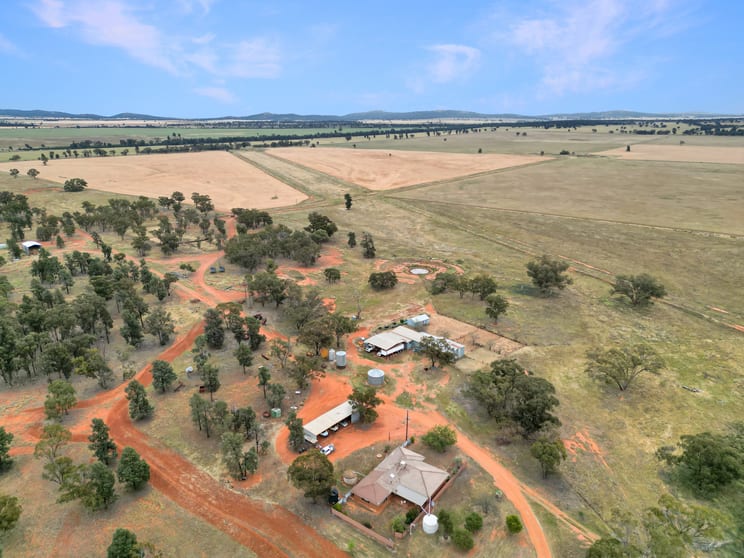 Click to view all images 'Werona' 904 North Yalgogrin Road Tallimba NSW 2669 - Image 2