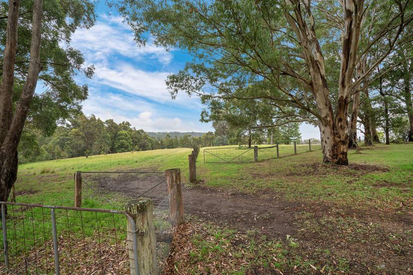 Click to view all images 73 Rodney Road Mount Vincent NSW 2323 - Image 1