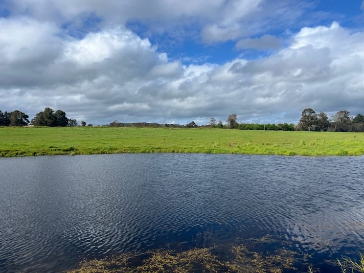 Click to view all images Lot 11144 Meerup Road Northcliffe WA 6262 - Image 1