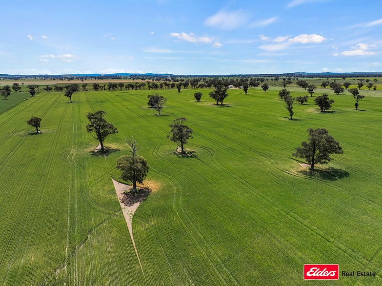 Click to view all images 4082 Milvale Road Young NSW 2594 - Image 3