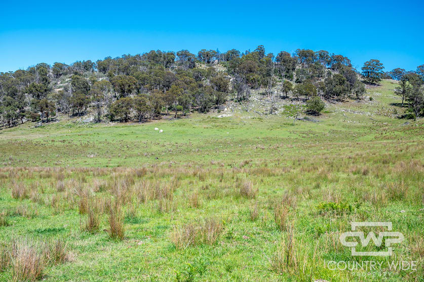 Click to view all images 11, - Ten Mile Rd Deepwater NSW 2371 - Image 1