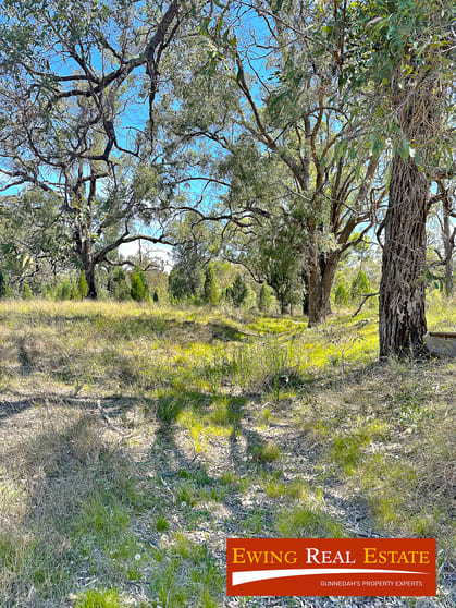 Click to view all images Tambar Springs NSW 2381 - Image 2