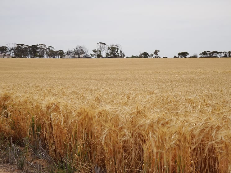 Click to view all images 1799 Nambadalling Road Corrigin WA 6375 - Image 2