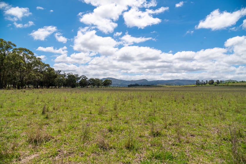 Click to view all images 130 Tannymorel - Mt Colliery Road Tannymorel QLD 4372 - Image 3