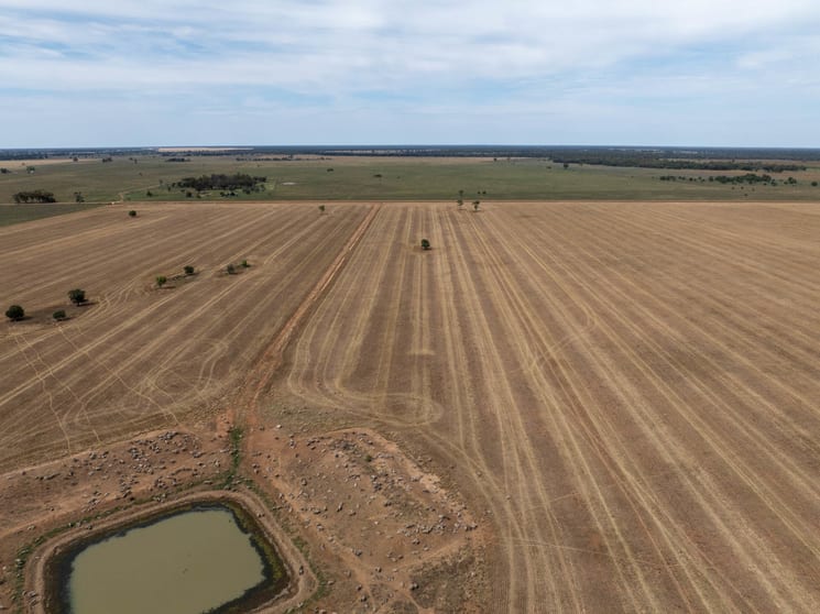 Click to view all images Haddington, 647 Sandy Camp Road Quambone NSW 2831 - Image 2