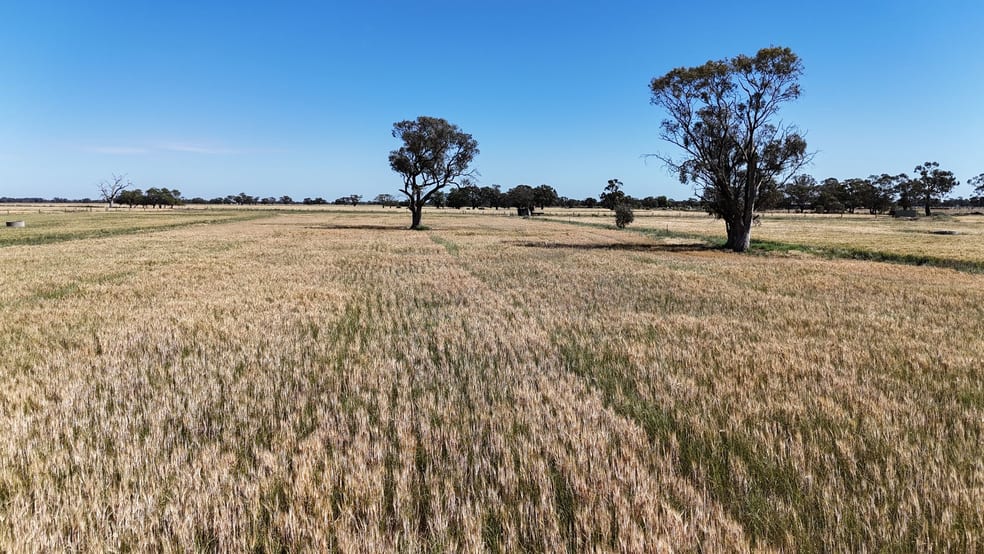 Click to view all images 7172 Murray Valley Highway Cullen VIC 3568 - Image 1