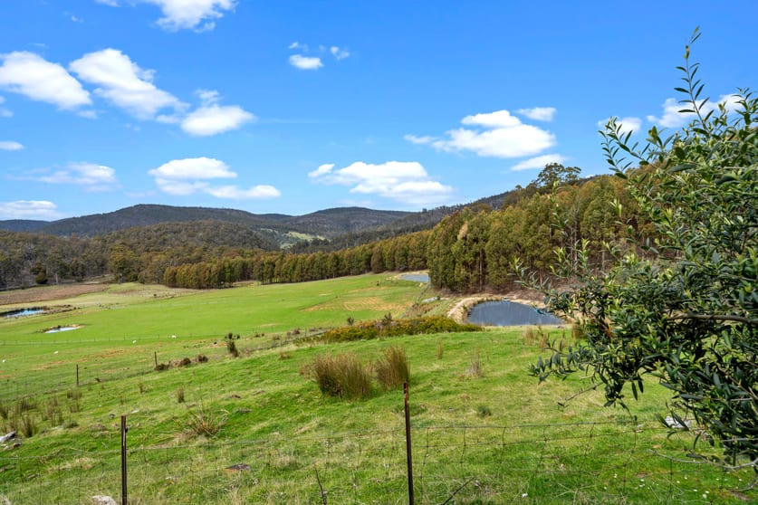 Click to view all images 523 Yarlington Road Colebrook TAS 7027 - Image 3