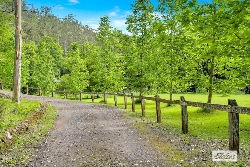 Click to view all images 87 Kingtree Lane Cedar Brush Creek NSW 2259 - Image 3
