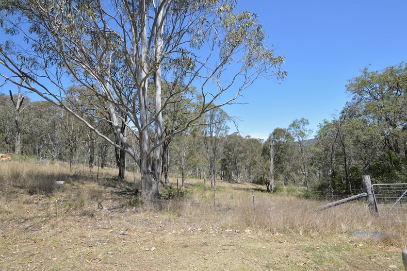 Click to view all images 1920 Inverramsay Road Goomburra QLD 4362 - Image 2