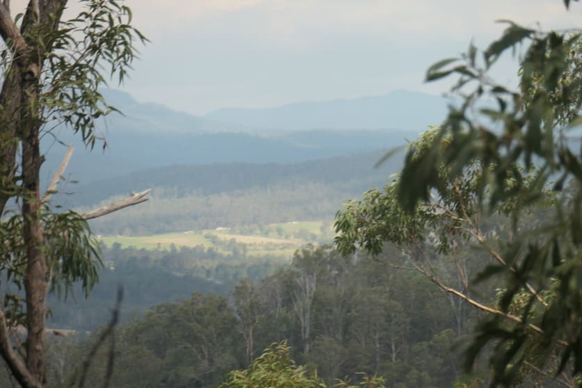 Click to view all images 335 Sugarbag Rd (east ) Tabulam NSW 2469 - Image 2
