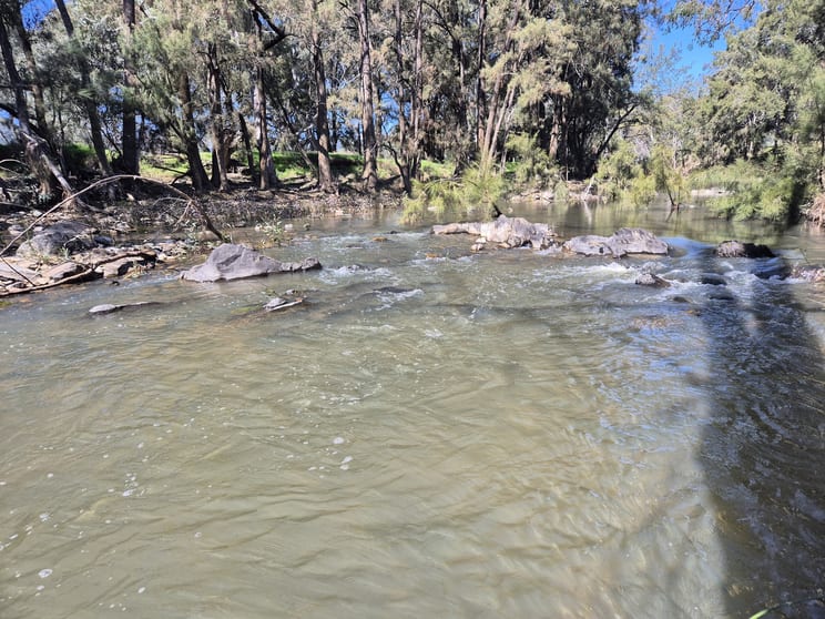 Click to view all images 46 Worlds End Rd Yarrabin NSW 2850 - Image 3