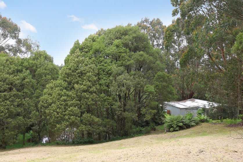 Click to view all images 5035 Great Ocean Road Lavers Hill VIC 3238 - Image 3