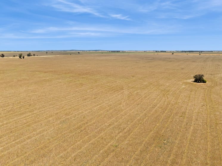 Click to view all images "Gordons" Cnr Sims & Crossman Roads Mitiamo VIC 3573 - Image 1