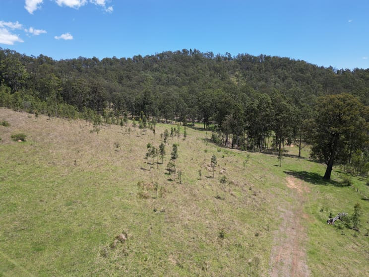 Click to view all images Lot 44 via Endless Creek Road, Chambigne Grafton NSW 2460 - Image 3